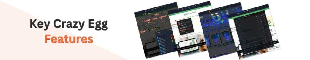 Key Crazy Egg heatmap insights for improving website performance